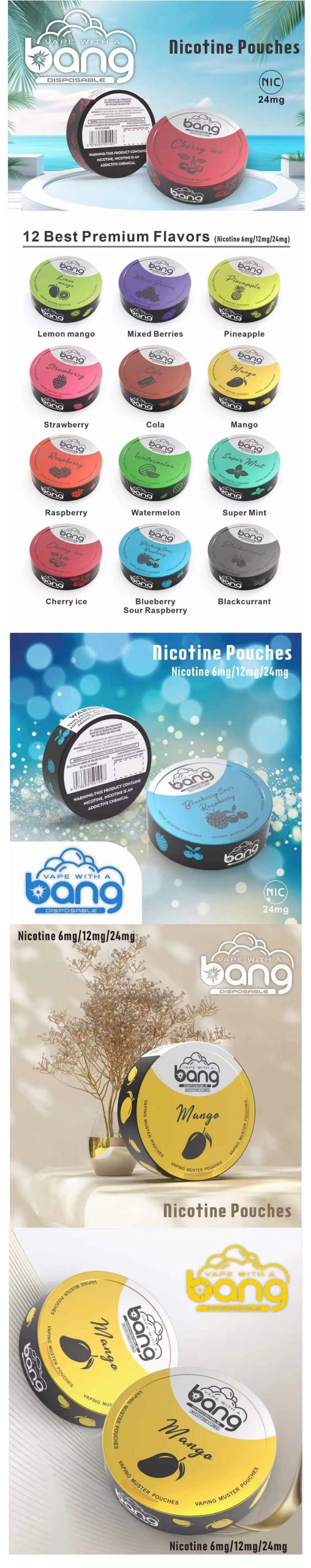 EGP Nicotina Bolsas – Premium Mayorista distribuidor | el Fabricante Oficial de Kontam Empresa de Tecnología | Distribuidor Global para los estados UNIDOS, Europa, reino unido -3 www.kontamvape.com