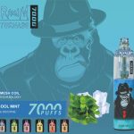 Конкурентоспособный США Китай Оригинальный Подлинный Перезаряжаемый Регулируемый Воздушный Поток RANDM TORNADO 7000 Затяжек Оптовый Поставщик и OEM Manufacturer-Cool-Mint-kontamvape.com