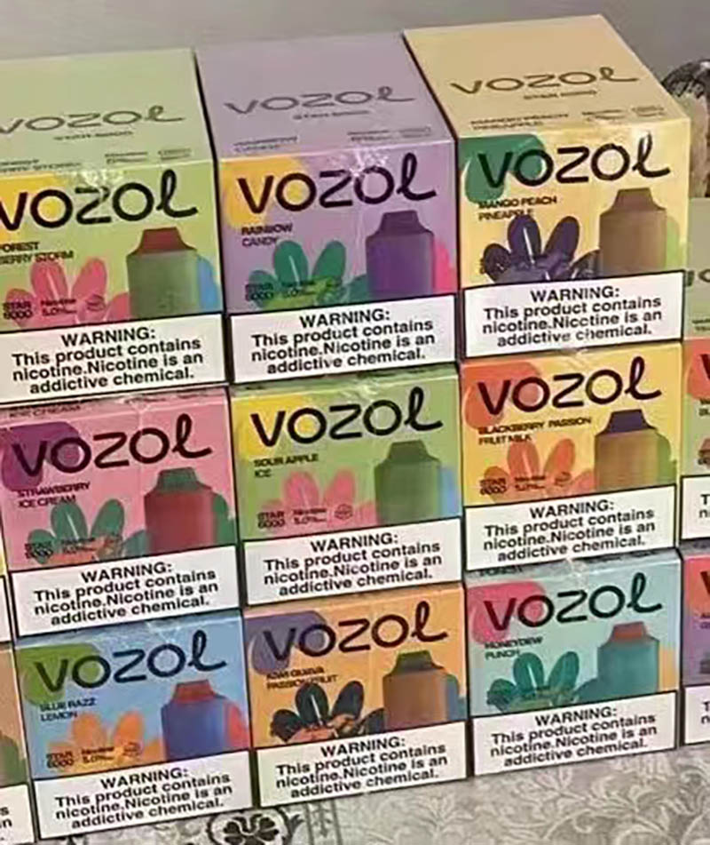 China Middle East High Quality Rechargeable Vozol Star 6000 Puffs Disposable Vape Device E-Cigarette Wholesale Supplier and OEM ODM Manufacturer-All-Flavours-6-www.kontamvape.com