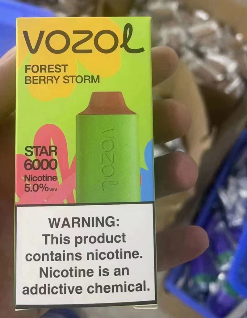 China Middle East High Quality Rechargeable Vozol Star 6000 Puffs Disposable Vape Device E-Cigarette Wholesale Supplier and OEM ODM Manufacturer-Forest-Berry-Storm-www.kontamvape.com