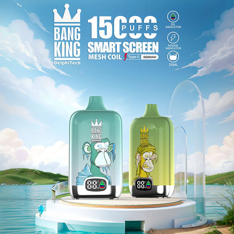 元中国米国欧州英国アジアでの二次バンキングのデジタルスマート画面15000Vapeの使い捨てデバイスE-Cigarette-all-flavours-1-www.kontamvape.com