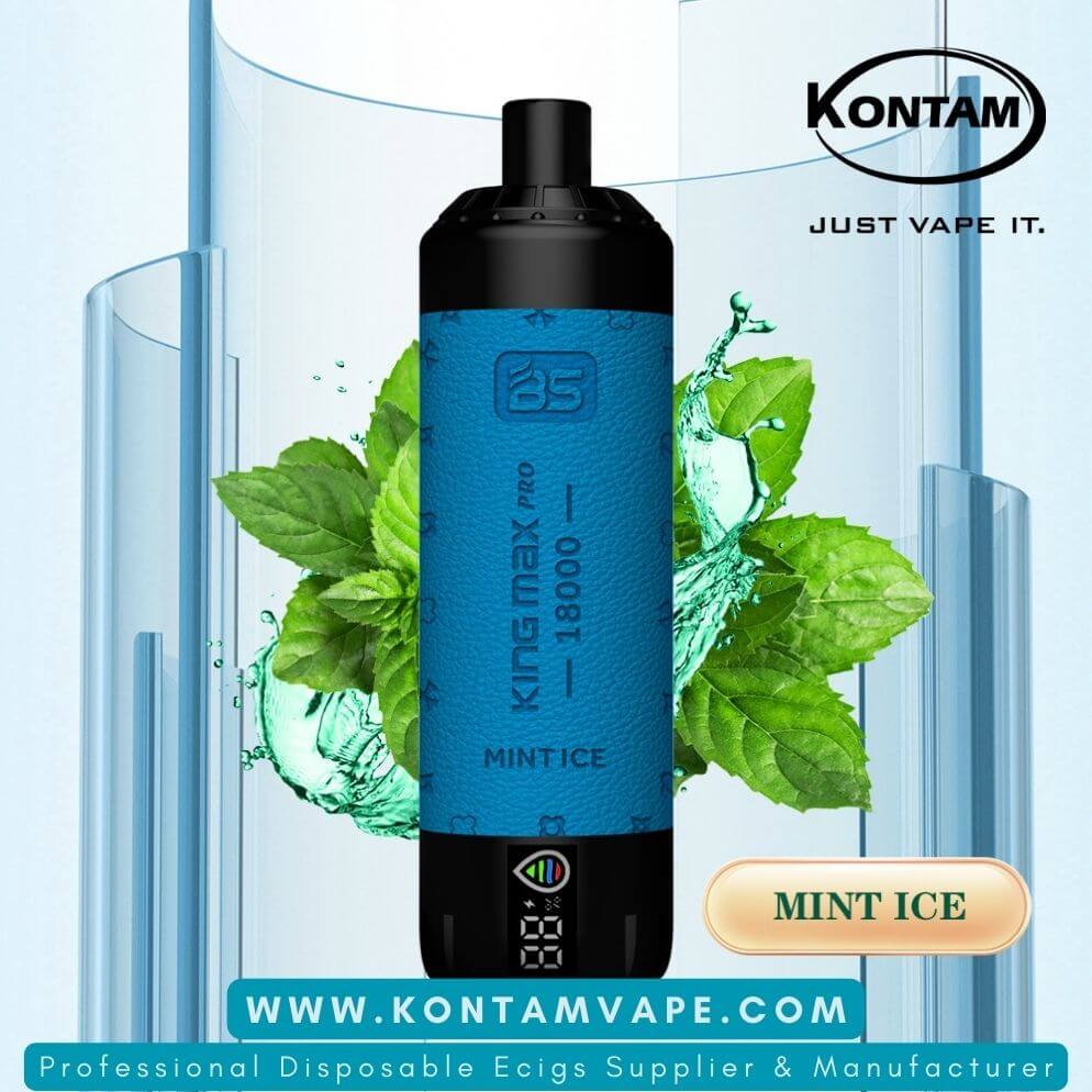Original de China, estados UNIDOS Europa reino unido Asia Breze Stiik BS Rey Max Pro 18000 con DTL Vaping Desechables Vape Dispositivo E-Cigarrillo Mint-Ice-www.kontamvape.com